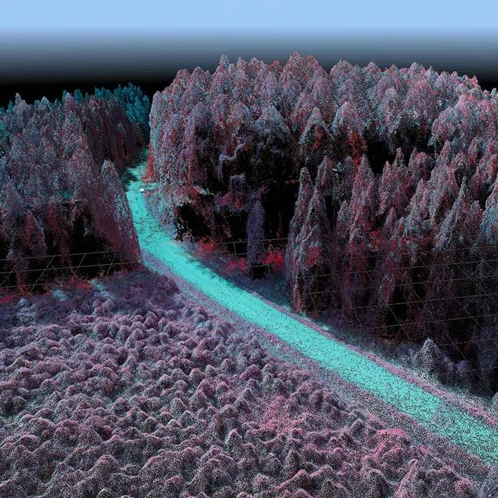 lidar tree scan