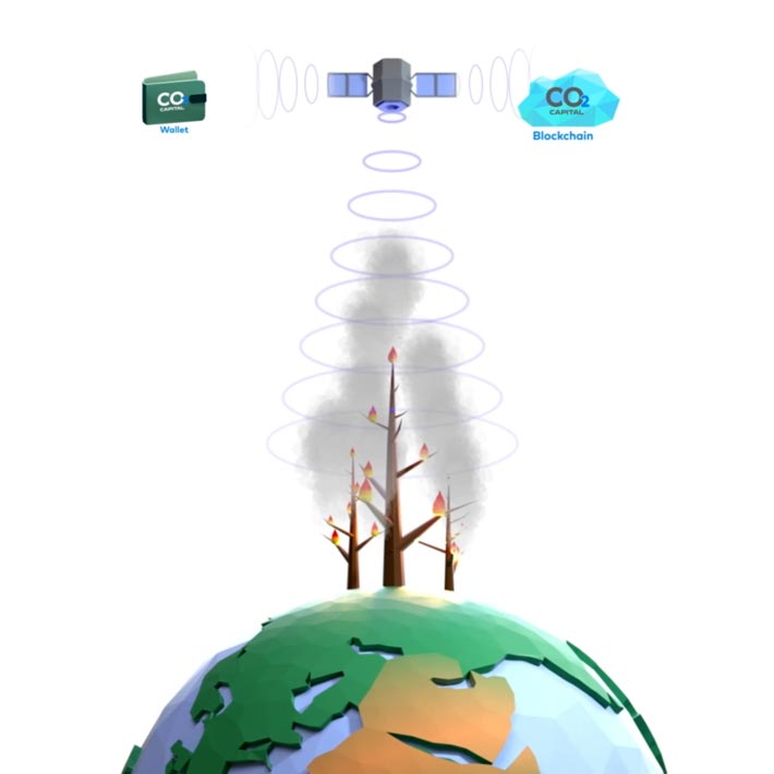 satellite tree monitoring