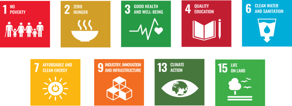 SDGs covered by the project