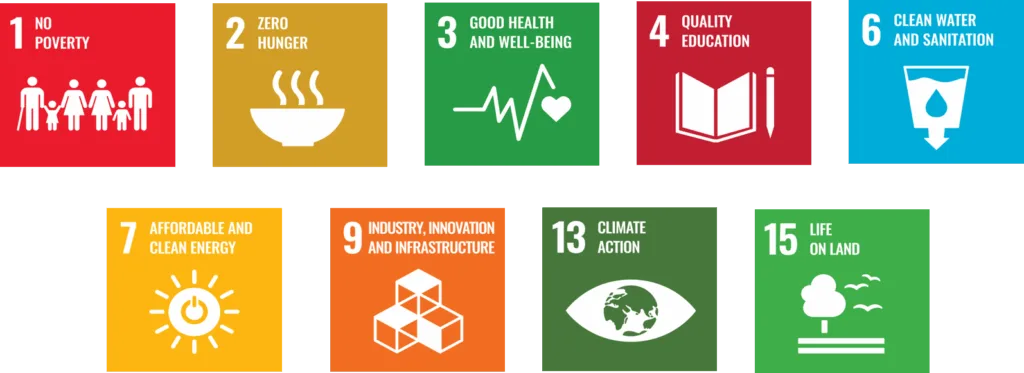 SDGs covered by the project