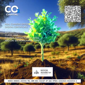 Carbon Offset Project Caceres Extremadura Spain NFT Certificate