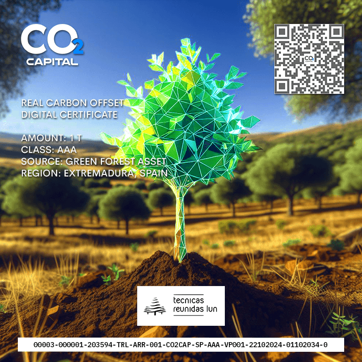 Carbon Offset Project Caceres Extremadura Spain NFT Certificate